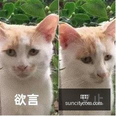 春季赛战火,重燃,能否再创辉,太阳城,太阳城娱乐,太阳城app,太阳城赌场
